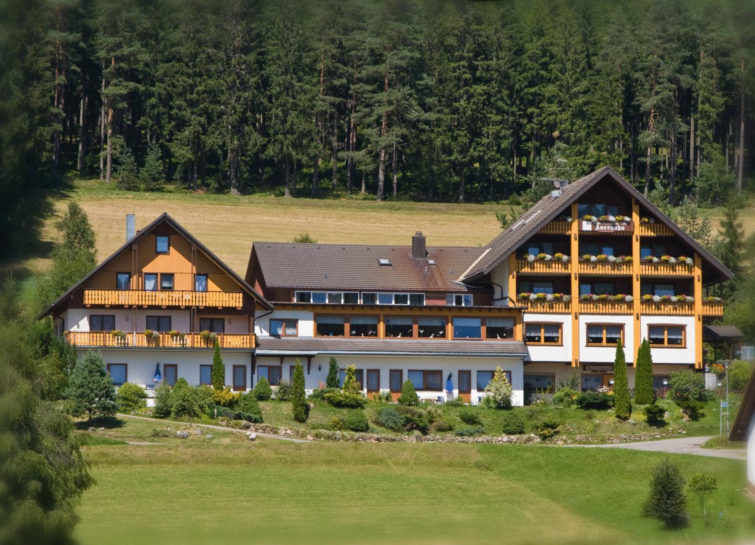 Auerhahn Bed And Breakfast - Black Forest - Waldhotel Eisenbach  Extérieur photo