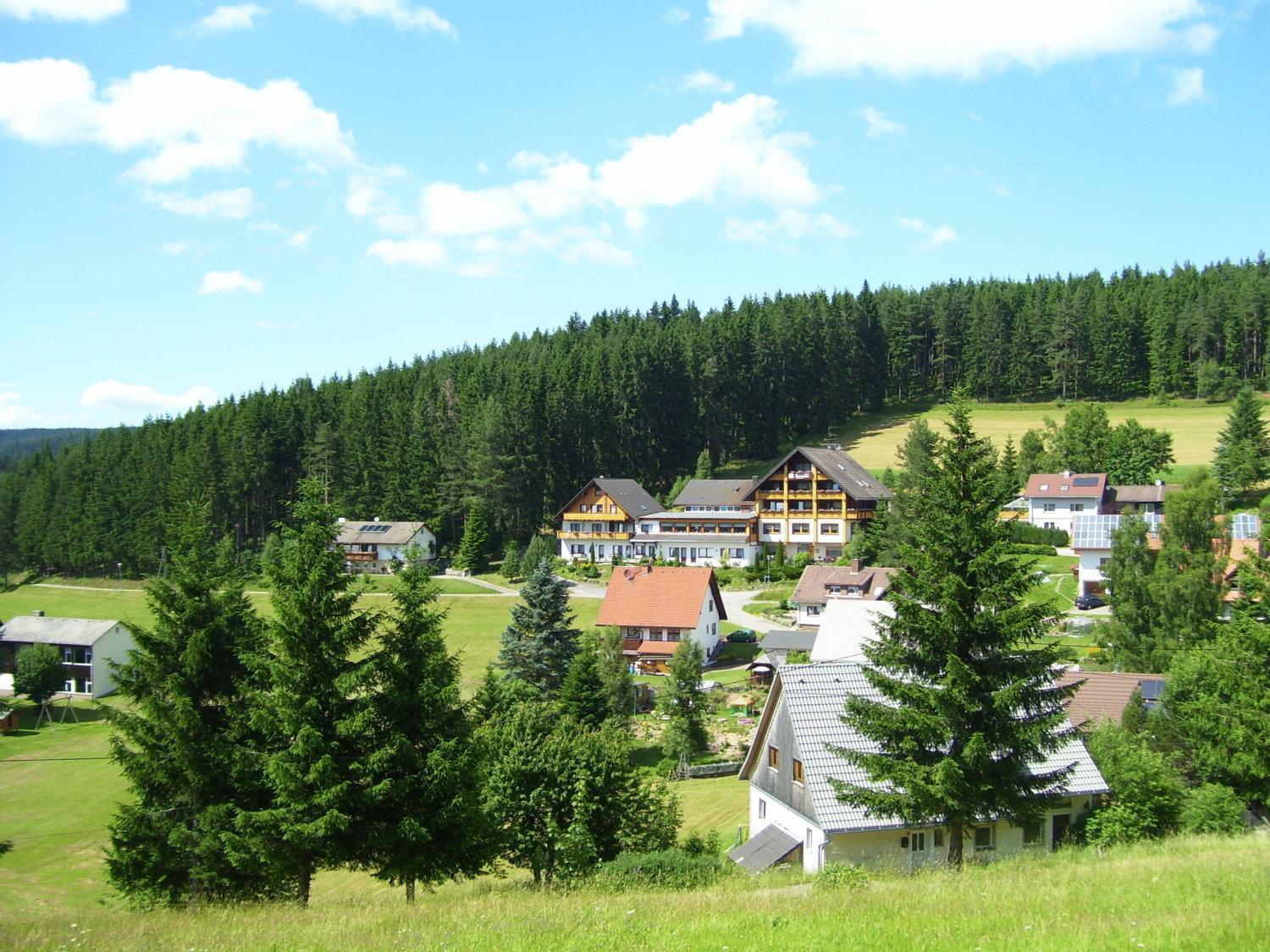 Auerhahn Bed And Breakfast - Black Forest - Waldhotel Eisenbach  Extérieur photo