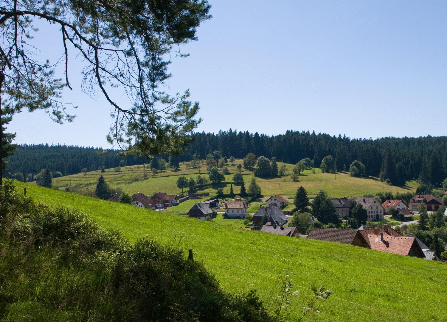 Auerhahn Bed And Breakfast - Black Forest - Waldhotel Eisenbach  Extérieur photo