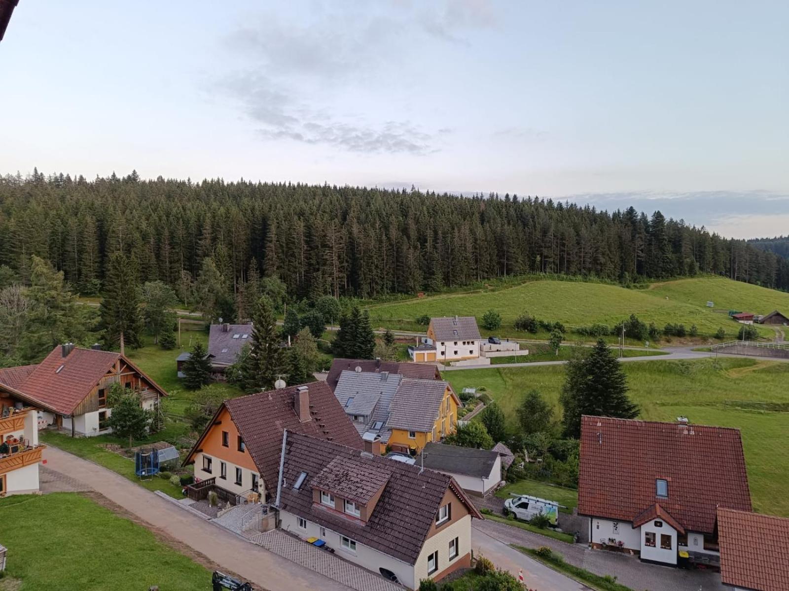 Auerhahn Bed And Breakfast - Black Forest - Waldhotel Eisenbach  Extérieur photo