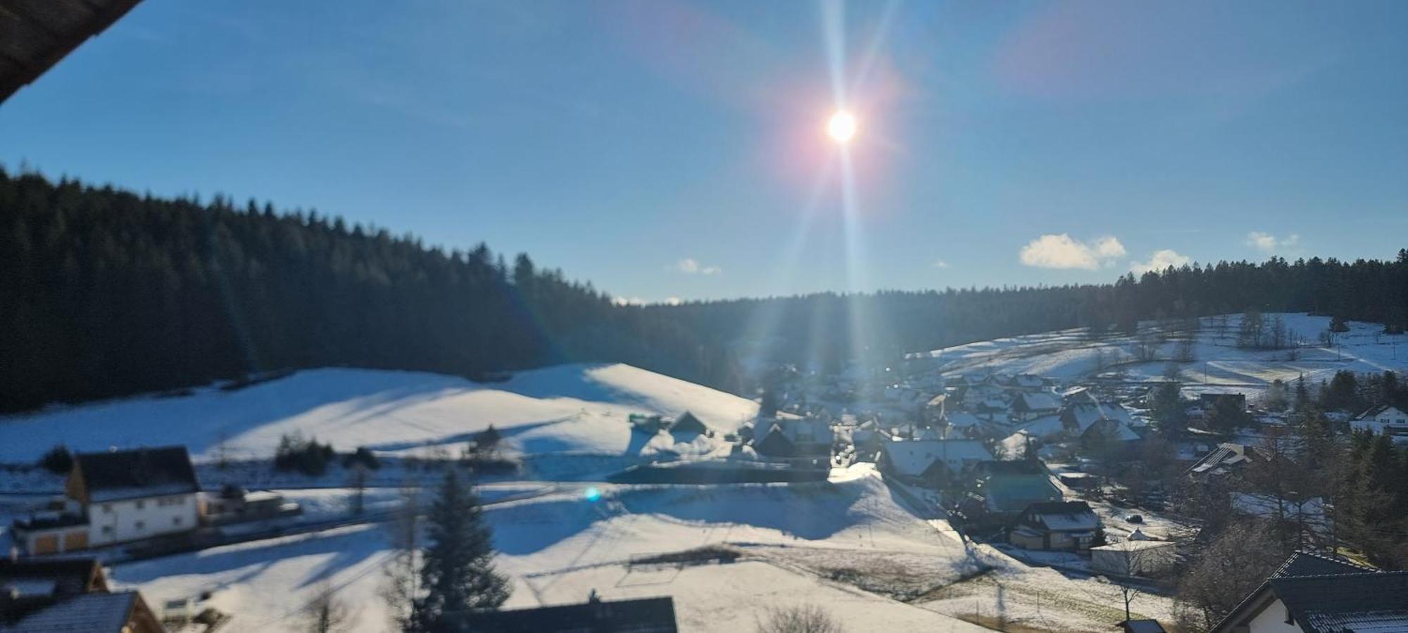 Auerhahn Bed And Breakfast - Black Forest - Waldhotel Eisenbach  Extérieur photo