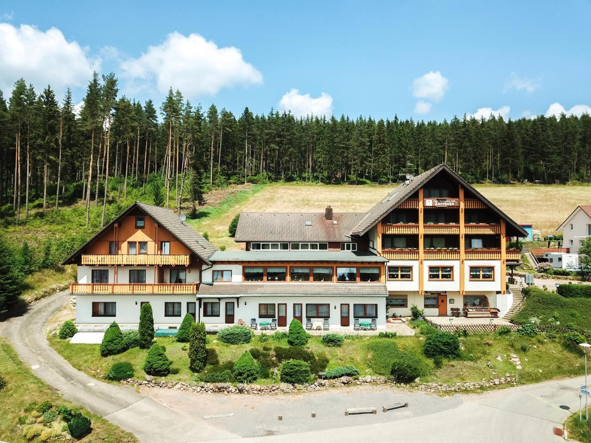 Auerhahn Bed And Breakfast - Black Forest - Waldhotel Eisenbach  Extérieur photo