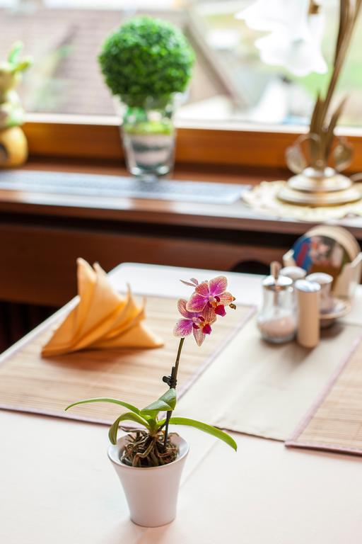 Auerhahn Bed And Breakfast - Black Forest - Waldhotel Eisenbach  Extérieur photo