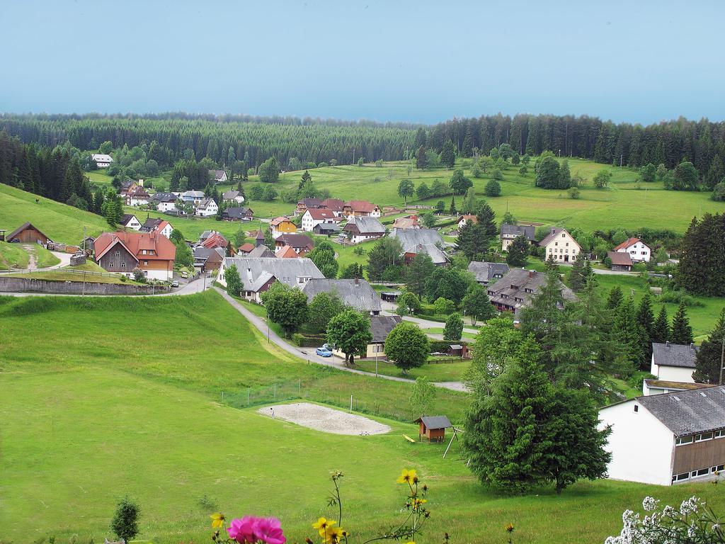 Auerhahn Bed And Breakfast - Black Forest - Waldhotel Eisenbach  Extérieur photo